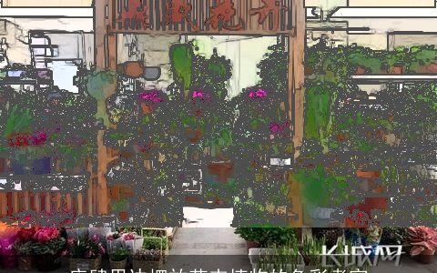 店肆里边摆放花卉植物的色彩考究