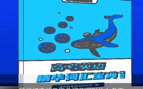 精挑细选的三家单词公司叫什么名字