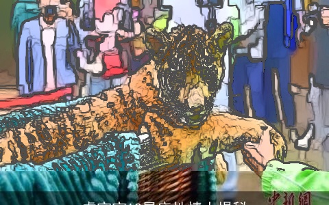 虎宝宝12星座性情大揭秘