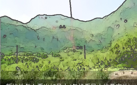 新坟地怎么看出好风水(怎样看风水坟墓宝地)