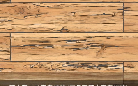 带水带木的字有哪些(起名字带木字有哪些)