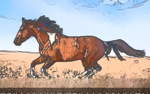 属马的办公室坐的位置(属马的人办公桌适合什么朝向)