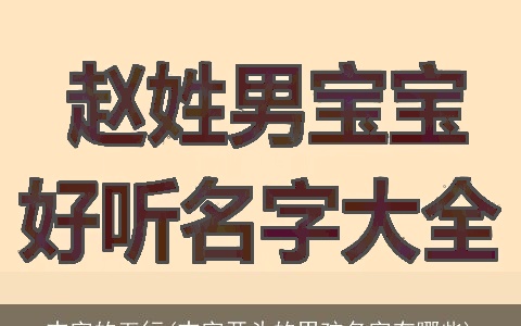 志字的五行(志字开头的男孩名字有哪些)