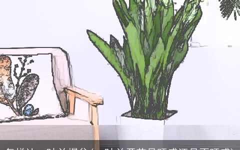 怎样让一叶兰爆盆(一叶兰开花是旺盛还是不旺盛)