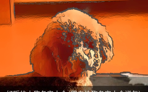 好听的小狗名字大全(男泰迪狗名字大全洋气)