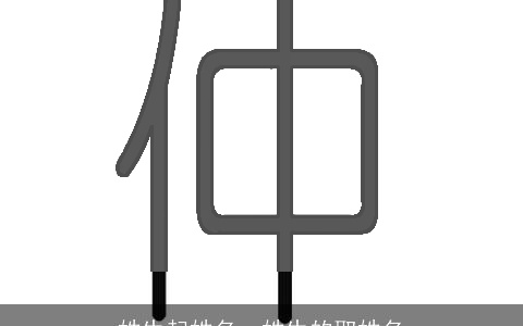 姓生起姓名，姓生的取姓名