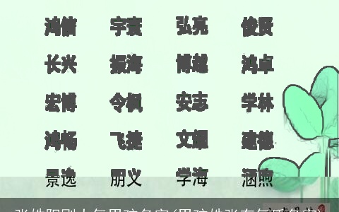 张姓阳刚大气男孩名字(男孩姓张有气质名字)