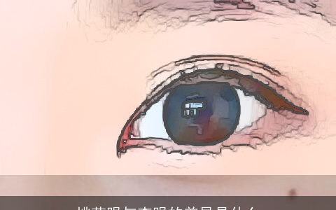 桃花眼与杏眼的差异是什么