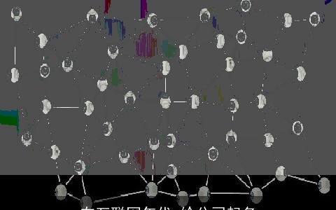 在互联网年代 给公司起名