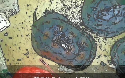 梦见吃龟肉是什么意思