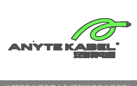 比较洋气公司名字大全(洋气独特的公司名称)