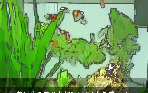 养风水鱼养几条好旺财(风水鱼养几只)