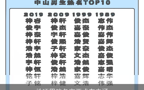 姓项男孩名字西式有内涵