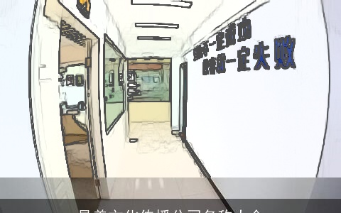 最美文化传播公司名称大全