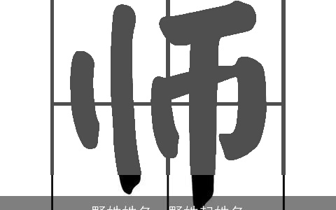 野姓姓名，野姓起姓名