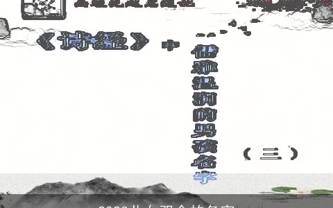 2023儿女双全的名字