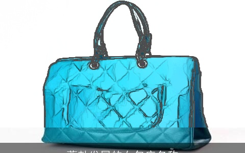 蓬勃发展的女包店名称