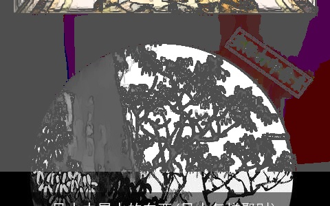 风水中属水的东西(风水怎样聚财)