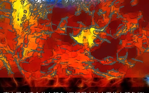 南方属火适合什么颜色(五行属火的人用什么颜色好)