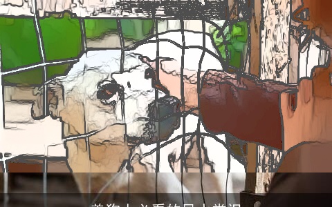 养狗人必看的风水常识