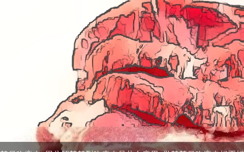 梦见吃鹿肉_周公解梦梦到吃鹿肉是什么意思_做梦梦见吃鹿肉好不好