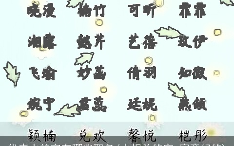 代表水的字有哪些取名(水相关的字 寓意好的)