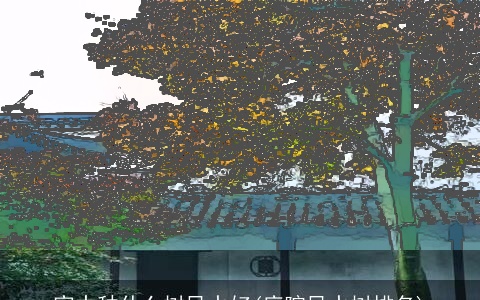 家中种什么树风水好(庭院风水树排名)