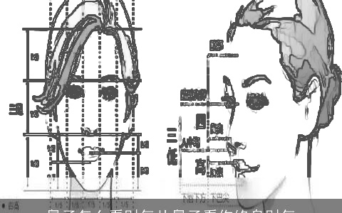 鼻子怎么看财气从鼻子看你终身财气