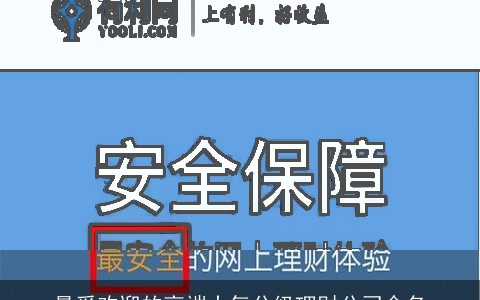 最受欢迎的高端大气分级理财公司命名