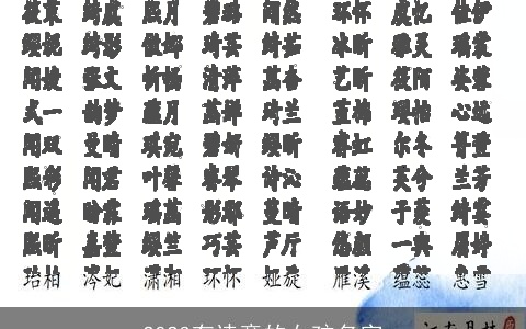 2023有诗意的女孩名字