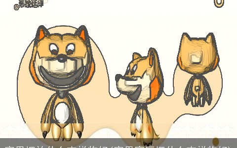 家里摆放什么吉祥物好(家里客厅摆什么吉祥物好)