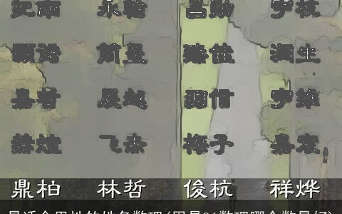 最适合男性的姓名数理(周易81数理哪个数最好)