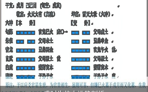 戌时生的人运势剖析