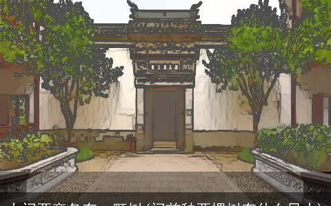 大门两旁各有一颗树(门前种两棵树有什么风水)