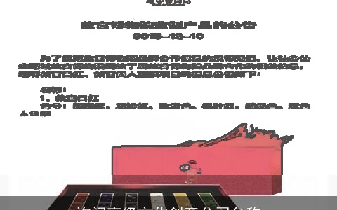 询问高级文化创意公司名称