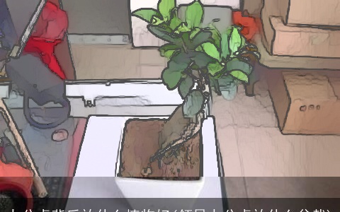 办公桌背后放什么植物好(领导办公桌放什么盆栽)