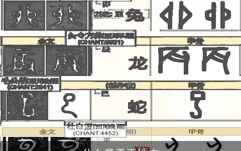 什么是天干地支