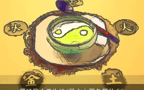 易经风水养生法(风水上黑色属什么)