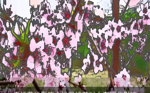 走桃花运影响命运吗桃花对人有哪些影响