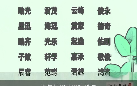 虎年姓程的男孩姓名