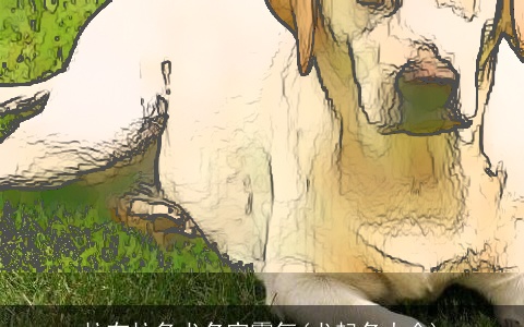 拉布拉多犬名字霸气(犬起名大全)