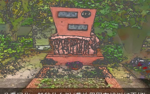 公墓绿化一般种什么树(墓地周围有桃树好不好)