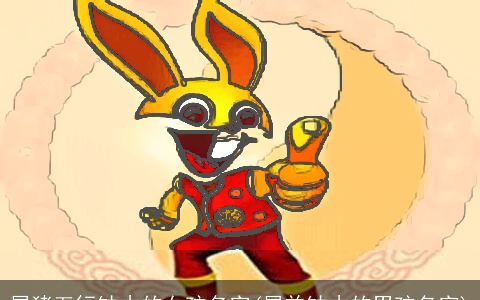 属猪五行缺木的女孩名字(属羊缺木的男孩名字)