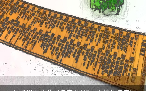 易经里面的公司名字(易经中提炼的名字)