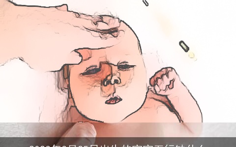 2023年3月25日出生的宝宝五行缺什么