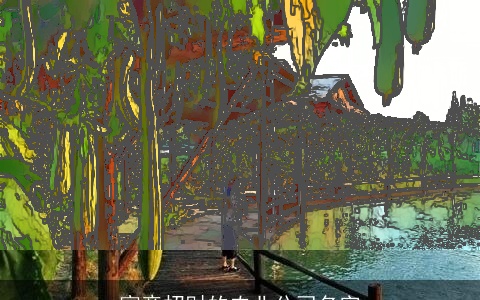 寓意招财的农业公司名字