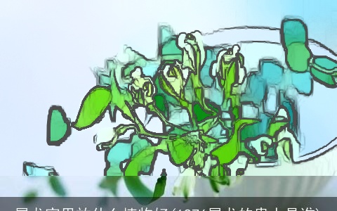 属龙家里放什么植物好(1976属龙的贵人是谁)