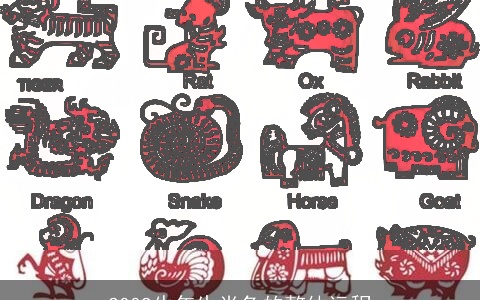 2009牛年生肖兔的整体运程