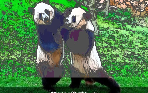 梦见和熊猫玩耍