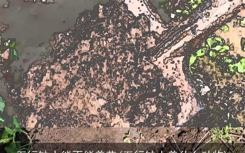 五行缺水能不能养花(五行缺土养什么动物)